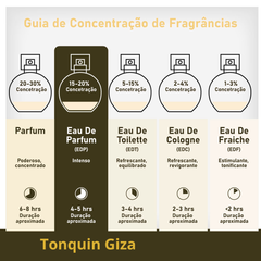 Perfume Árabe Tonquin Giza Rayhaan 100ml EDP Unissex