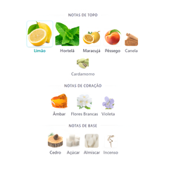Mojito Obsession Gulf Orchid EDP 100ml