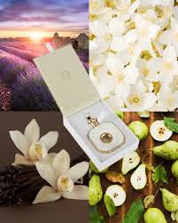 Infinity Gold Armaf Eau De Parfum 100ml Feminino