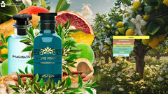 Luxe Vision Asten Eau De Parfum 100ml Masculino
