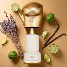 Perfume Árabe Champion Money Fragrance World 100ml EDP